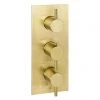 JTP Vos Brushed Brass Twin Outlet Thermostatic Concealed Shower Valve Vertical 2 JTP Vos Brushed Brass Twin Outlet Thermostatic Concealed Shower Valve Vertical -Shower Valves Sales Store 23690ABBR P 1