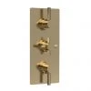 Hudson Reed Tec Pura Plus Triple Concealed Thermostatic Shower Valve - Brushed Brass - A8003 -Shower Valves Sales Store A8003 m
