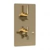 Hudson Reed Tec Pura Twin Concealed Thermostatic Shower Valve - Brushed Brass - A8003V 2 Hudson Reed Tec Pura Twin Concealed Thermostatic Shower Valve - Brushed Brass - A8003V -Shower Valves Sales Store A8003V M