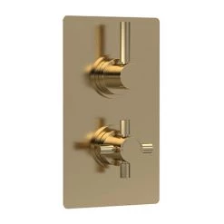Hudson Reed Tec Pura Twin Concealed Thermostatic Shower Valve - Brushed Brass - A8003V