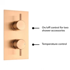 Arezzo Brushed Bronze Round Modern Twin Concealed Shower Valve with Diverter 9 Arezzo Brushed Bronze Round Modern Twin Concealed Shower Valve with Diverter -Shower Valves Sales Store AVLVBRZ2 detail3 460
