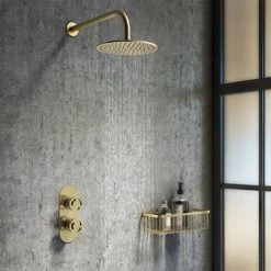 Arezzo Brushed Brass Industrial Style Round Modern Twin Concealed Shower Valve -Shower Valves Sales Store AZBBIV1 d4 460