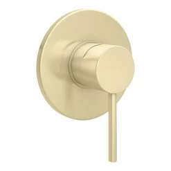 Arezzo Brushed Brass Round Concealed Manual Shower Valve