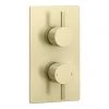 Arezzo Brushed Brass Round Modern Twin Concealed Shower Valve -Shower Valves Sales Store AZBBSV n prod