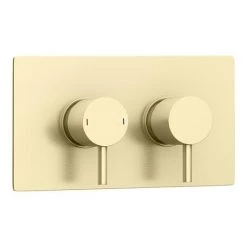 Arezzo Brushed Brass Round Modern Twin Concealed Shower Valve -Shower Valves Sales Store AZBBSV new d6 460