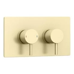 Arezzo Brushed Brass Round Modern Twin Concealed Shower Valve with Diverter 11 Arezzo Brushed Brass Round Modern Twin Concealed Shower Valve with Diverter -Shower Valves Sales Store AZBBSVD n d1 460