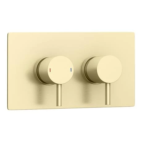 Arezzo Brushed Brass Round Modern Twin Concealed Shower Valve with Diverter 6 Arezzo Brushed Brass Round Modern Twin Concealed Shower Valve with Diverter - Image 4