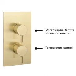 Arezzo Brushed Brass Round Modern Twin Concealed Shower Valve with Diverter 12 Arezzo Brushed Brass Round Modern Twin Concealed Shower Valve with Diverter -Shower Valves Sales Store AZBBSVD n d2 460