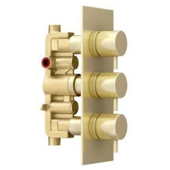 Arezzo Brushed Brass Round Modern Triple Concealed Shower Valve -Shower Valves Sales Store AZBBTSV new d3 460