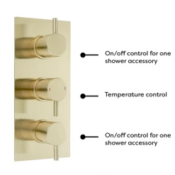 Arezzo Brushed Brass Round Modern Triple Concealed Shower Valve -Shower Valves Sales Store AZBBTSV new d5 460