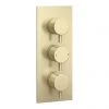 Arezzo Brushed Brass Round Modern Triple Concealed Shower Valve -Shower Valves Sales Store AZBBTSV new pa