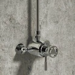 Arezzo Chrome Industrial Style Exposed Dual Shower Valve -Shower Valves Sales Store AZISDUALE new d2 460