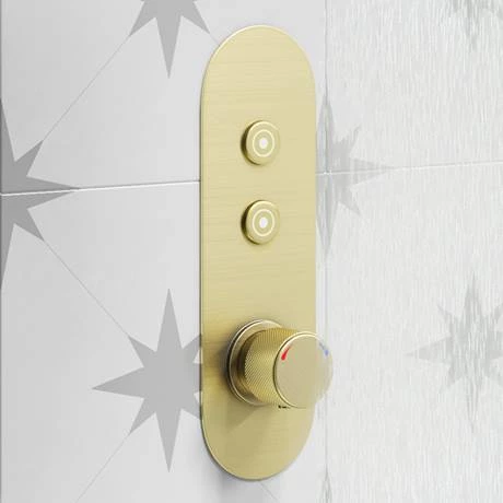 Arezzo Brushed Brass Industrial Style Push Button Shower Valve (2 Outlets) 4 Arezzo Brushed Brass Industrial Style Push Button Shower Valve (2 Outlets) - Image 2