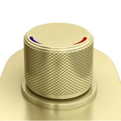 Arezzo Brushed Brass Industrial Style Push Button Shower Valve (2 Outlets) 11 Arezzo Brushed Brass Industrial Style Push Button Shower Valve (2 Outlets) -Shower Valves Sales Store AZPB02RBB d5 460