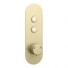 Arezzo Brushed Brass Industrial Style Push Button Shower Valve (2 Outlets) 2 Arezzo Brushed Brass Industrial Style Push Button Shower Valve (2 Outlets) -Shower Valves Sales Store AZPB02RBB np