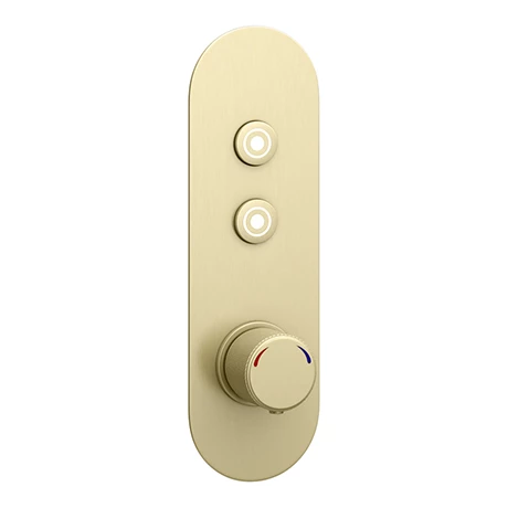 Arezzo Brushed Brass Industrial Style Push Button Shower Valve (2 Outlets) 3 Arezzo Brushed Brass Industrial Style Push Button Shower Valve (2 Outlets)