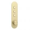 Arezzo Brushed Brass Industrial Style Push Button Shower Valve (3 Outlets)