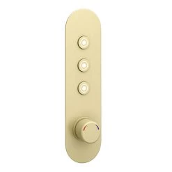 Arezzo Brushed Brass Industrial Style Push Button Shower Valve (3 Outlets)
