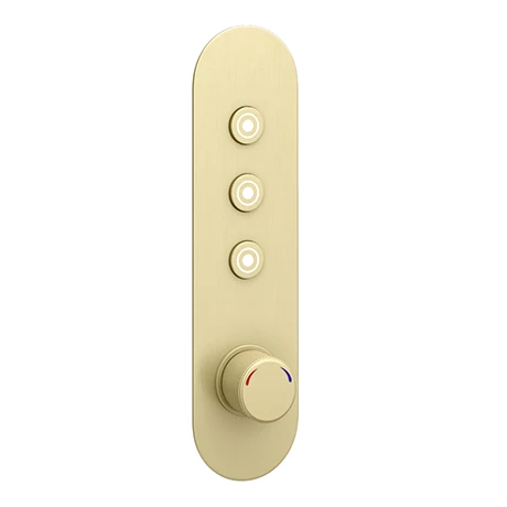 Arezzo Brushed Brass Industrial Style Push Button Shower Valve (3 Outlets) 3 Arezzo Brushed Brass Industrial Style Push Button Shower Valve (3 Outlets)