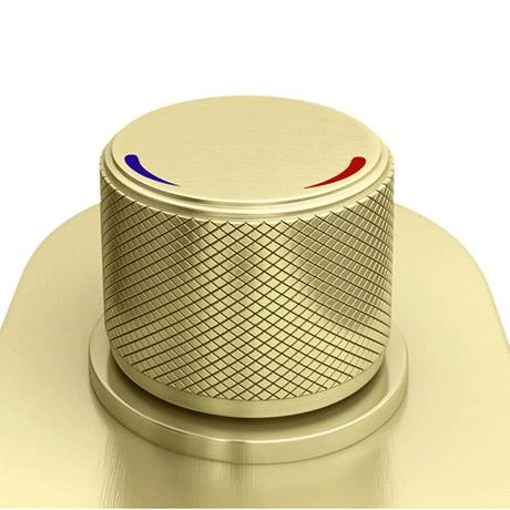 Arezzo Brushed Brass Industrial Style Push Button Shower Valve (3 Outlets) 5 Arezzo Brushed Brass Industrial Style Push Button Shower Valve (3 Outlets) - Image 3