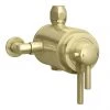 Arezzo Brushed Brass Round Exposed Dual Thermostatic Shower Valve -Shower Valves Sales Store AZSV4BBE P