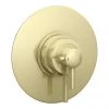 Arezzo Brushed Brass Round Concealed Dual Thermostatic Shower Valve -Shower Valves Sales Store AZSV4BB n p