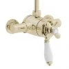 Heritage - Ryde Dual Control Exposed Mini Valve With Top Outlet - Vintage Gold 2 Heritage - Ryde Dual Control Exposed Mini Valve With Top Outlet - Vintage Gold -Shower Valves Sales Store Heritage Ryde Dual Control Exposed Mini Valve With Top Outlet Vintage Gold new p