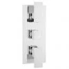 Hudson Reed Art Triple Concealed Thermostatic Shower Valve - ART3211 -Shower Valves Sales Store Hudson Reed Art Triple Concealed Thermostatic Shower Valve ART3211 p
