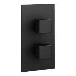 Arezzo Square Modern Twin Concealed Shower Valve with Diverter - Matt Black