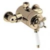 Bristan 1901 Exposed Concentric Top Outlet Shower Valve - Gold - N2-CSHXTVO-G -Shower Valves Sales Store N2 CSHXTVO G P