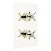 Bristan - 1901 Thermostatic Recessed Dual Control Shower Valve - Gold - N2-SHCVO-G 1 Bristan - 1901 Thermostatic Recessed Dual Control Shower Valve - Gold - N2-SHCVO-G -Shower Valves Sales Store N2 SHCVO G P