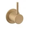 Crosswater MPRO Industrial 2 Way Diverter - Unlacquered Brushed Brass - PRI0007WUB 1 Crosswater MPRO Industrial 2 Way Diverter - Unlacquered Brushed Brass - PRI0007WUB -Shower Valves Sales Store PRI0007WUB lrg 670